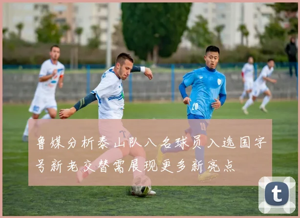 鲁媒分析泰山队八名球员入选国字号新老交替需展现更多新亮点