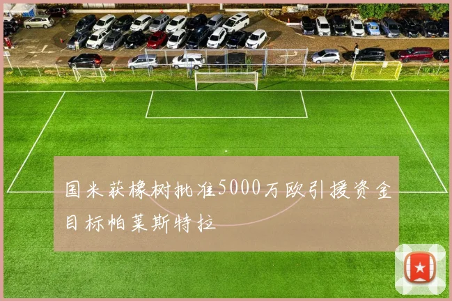 国米获橡树批准5000万欧引援资金目标帕莱斯特拉